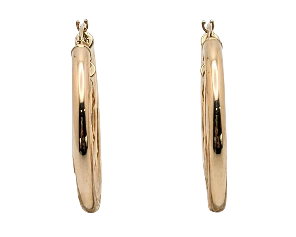 Double Hoop Earrings - Yellow Gold