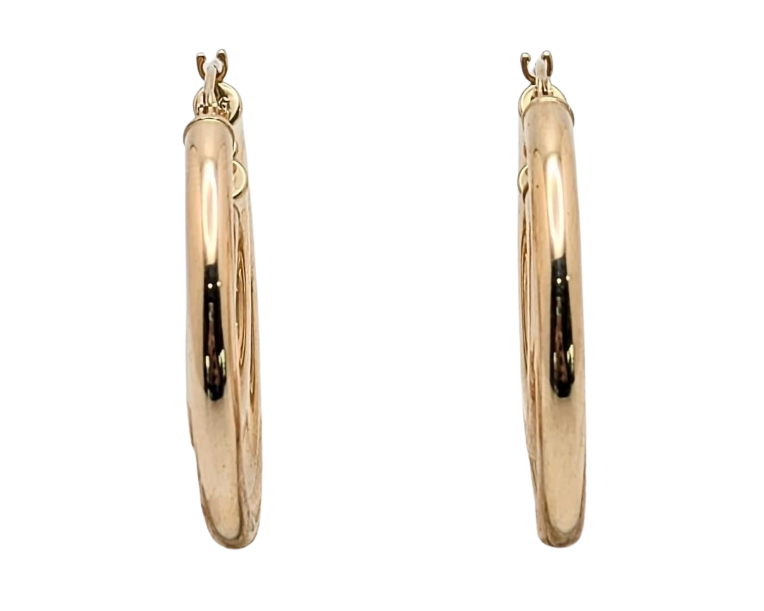 Double Hoop Earrings - Yellow Gold
