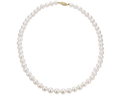 16" Freshwater Pearl Necklace - Yellow Gold