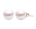 8.0-8.5mm Freshwater Pearl Stud Earrings - Yellow Gold