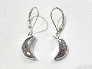 Moonlight Dangle Earrings - Silver