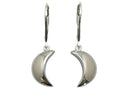 Moonlight Dangle Earrings - Silver