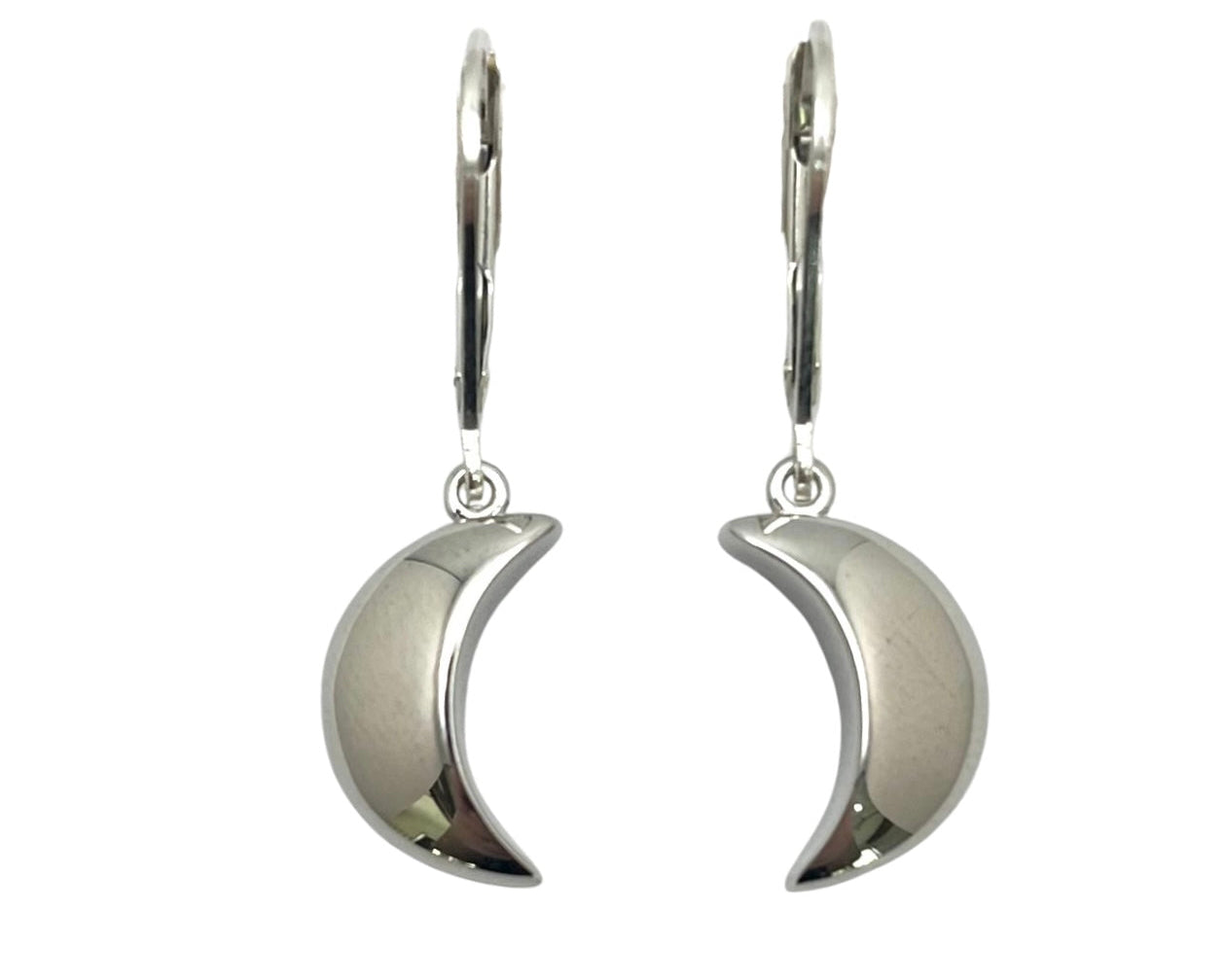 Moonlight Dangle Earrings - Silver