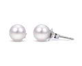 6.0-6.5mm Akoya Pearl Stud Earrings - White Gold