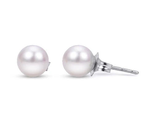 6.0-6.5mm Akoya Pearl Stud Earrings - White Gold