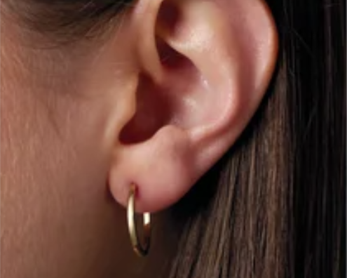 18.0 x 1.65mm Huggie Hoop Earrings - Yellow Gold