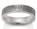 Sirius Meteorite Band with White Gold Boarders