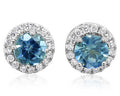 Montana Sapphire Earrings with Diamond Halo - White Gold